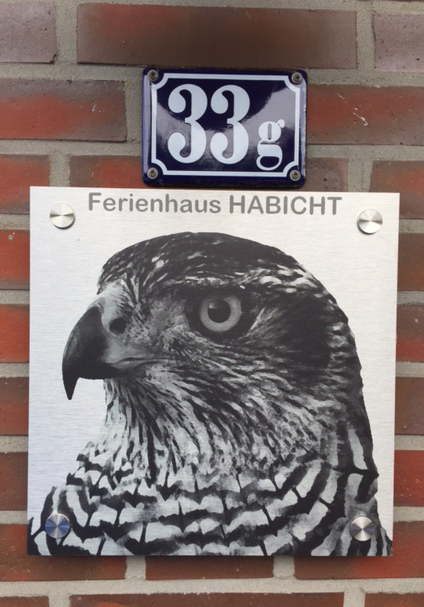 schopper012