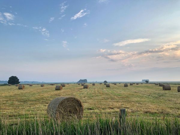 Weite Ausblicke in Dangast