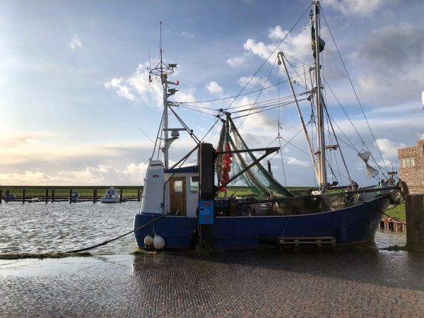 Krabbenkutter in Dangast
