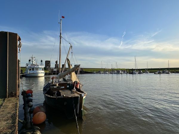 Dangaster Hafen
